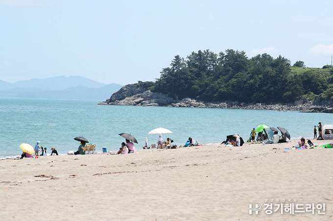 청소년 출입 묵인 신·변종 룸카페 등 청소년보호법 위반 1802건 적발