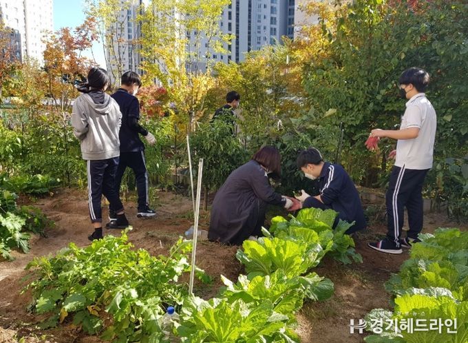 남양주시, 꿈을 키워 주는 '학교 치유 텃밭' 추진