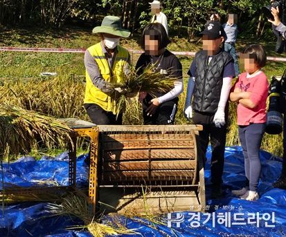 민과 함께하는 반디논 가을걷이 활동