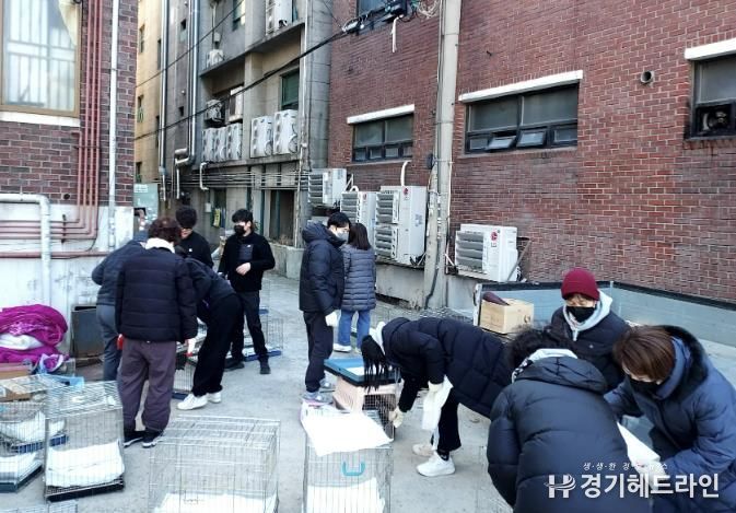 수원특례시 장안구 율천동,