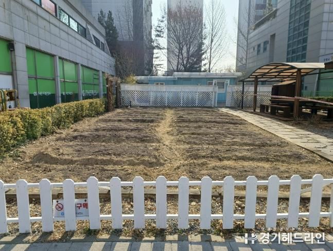 수원특례시 영통구 매탄3동, 사랑나눔 텃밭 분양 실시