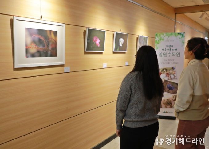 수원특례시 권선구, 구청 갤러리에서 ‘일월수목원’ 전시 개최