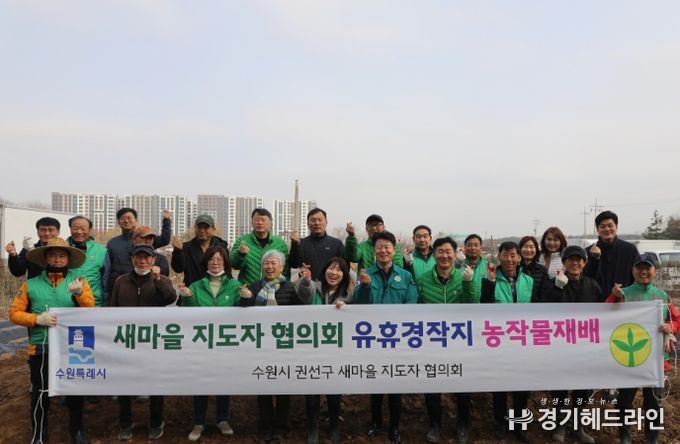 수원특례시 권선구 새마을지도자협의회, 사랑의 감자 심기