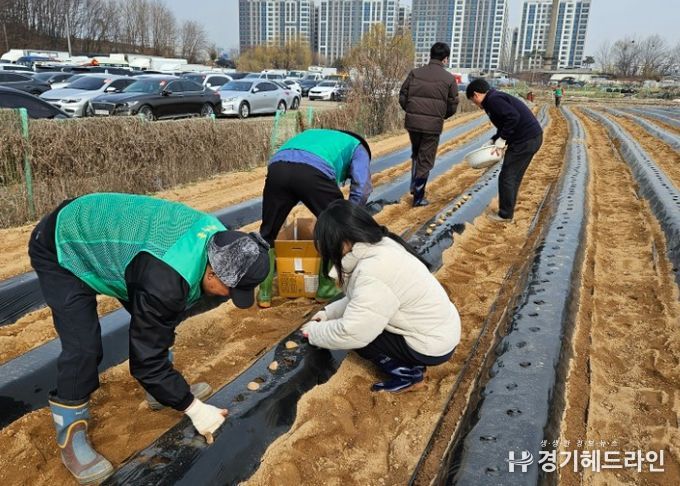수원특례시 권선구 서둔동, 사랑의 텃밭 가꾸기 행사 개최
