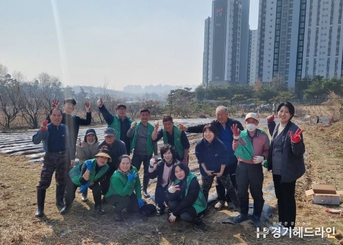 수원특례시 권선구 세류3동 새마을지도자협의회, 사랑의 감자 심기 행사 실시