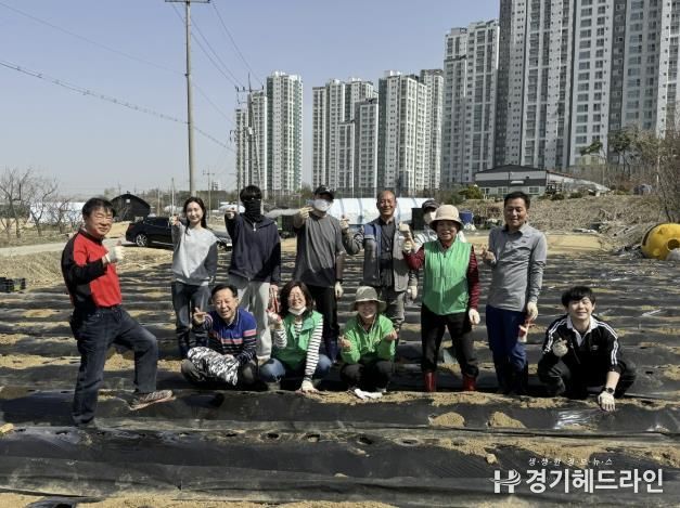 수원특례시 권선구 구운동 새마을3단체, 사랑의 감자 심기