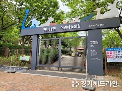 어린이 동물원 사진