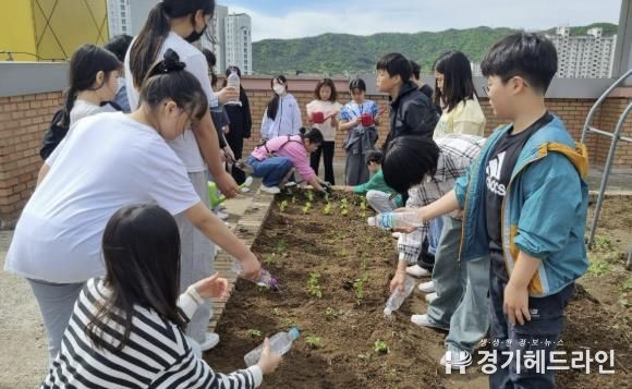 수원중촌초등학교 아이들이 텃밭체험을 하고 있다.