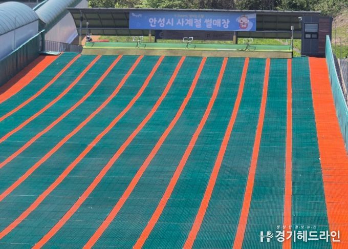 안성시 사계절썰매장 2025년 봄시즌 개장