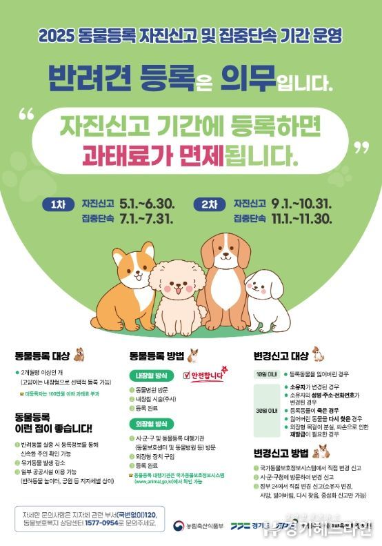 반려동물 등록 자진신고 홍보물