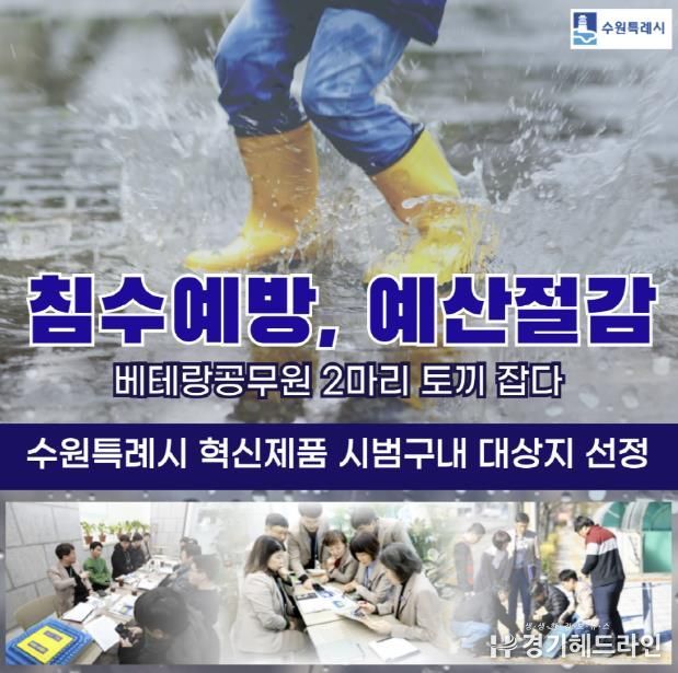 홍보물