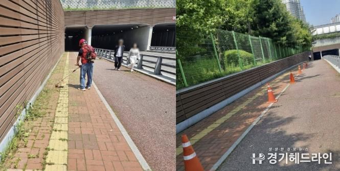수원특례시 영통구, 도로 잡초제거 및 시설물 정비 통해 도시미관 개선