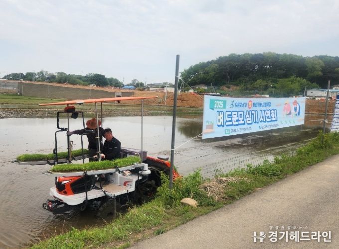 인천시, 농가 부담 줄이는‘드문모 심기’재배기술 시연회 열어
