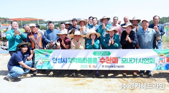 안성시농업기술센터, 지역특화품종 ‘수찬미’ 적기 모내기 행사 개최!