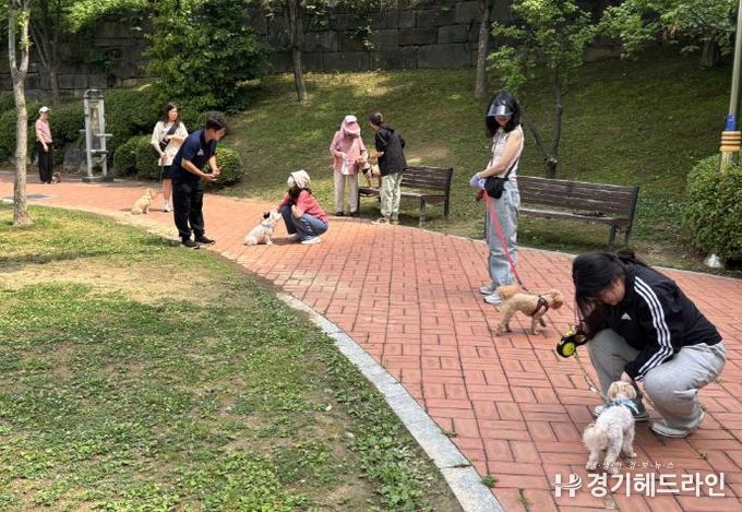 수원특례시 장안구 조원2동, 반려동물 문화교실 1차 교육 진행