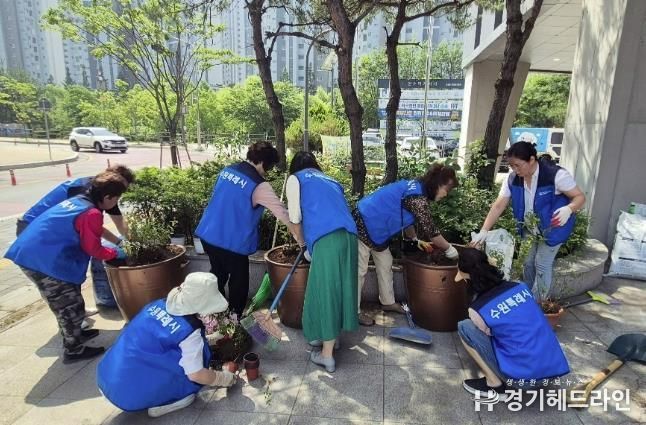 수원특례시 권선구 금곡동, 행정복지센터 부지 손바닥정원 조성