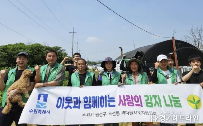 수원특례시 권선구 곡선동 새마을지도자협의회, ‘사랑의 감자캐기’ 실시