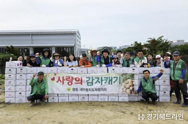 수원특례시 권선구 평동 새마을지도자협의회, ‘사랑의 감자 캐기’로 이웃사랑 실천