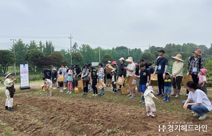 가족들이 감자 수확 체험을 하고 있다.