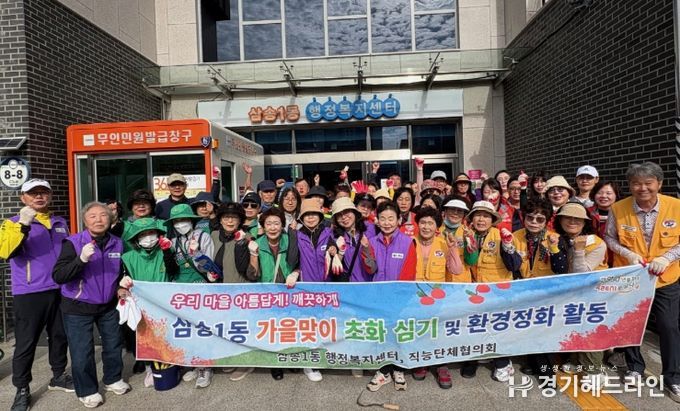 고양시 삼송1동, 가을맞이 국화 식재