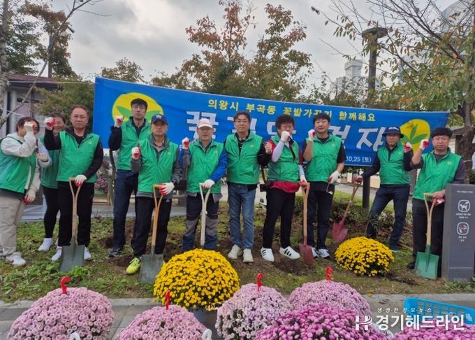 의왕시 부곡동 새마을지도자협의회, 부곡공원 국화 식재 및 가을철 농촌일손돕기 실시