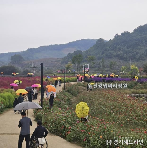 연천군 중면 임진강 댑싸리정원 지역 관광명소로 우뚝!
