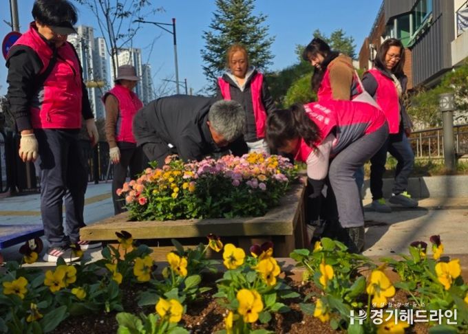 화성특례시 동탄3동 주민들이 청사 및 도로변에 비올라를 식재하고 있다