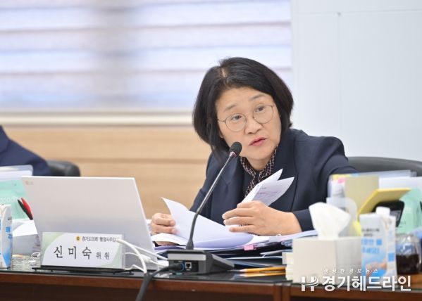 경기도의회 신미숙 의원