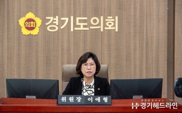 경기도의회 이애형 의원