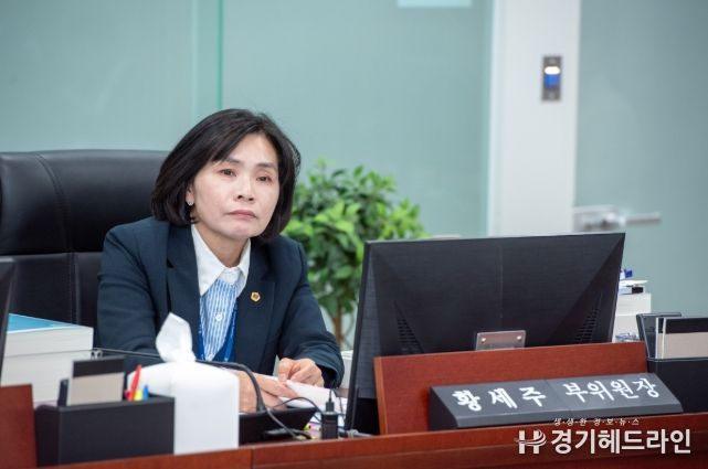 황세주 경기도의원(더불어민주당, 보건복지위원회 부위원장, 비례대표)