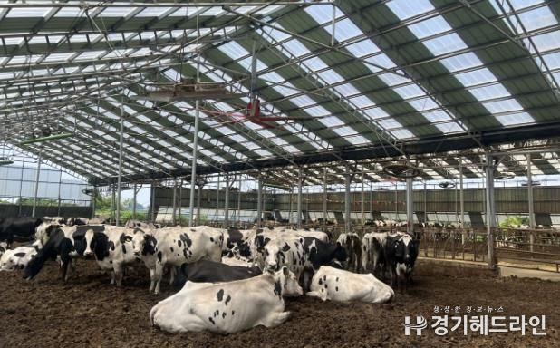 2025년 낙농육우산업 경쟁력 강화사업으로 대형환풍기 설비를 지원받은 축산농가 모습