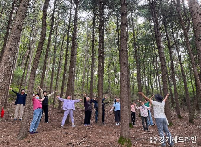 산림치유 프로그램
