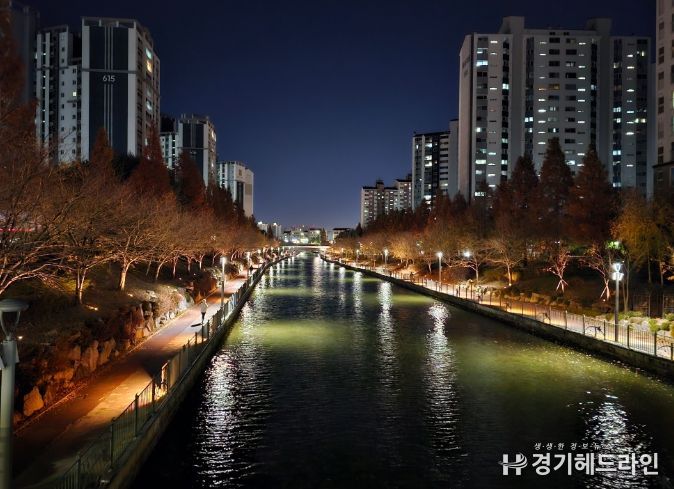 보도교 → 청송교 방향 야간 경관 사진