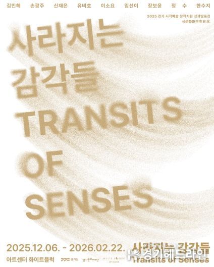 사라지는 감각들 포스터