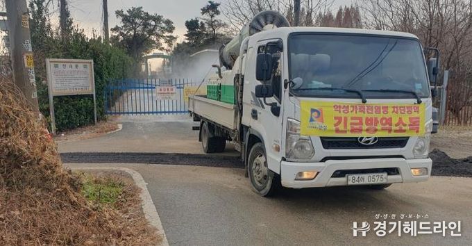 안성시 산란계농장 고병원성AI 의심축 발생