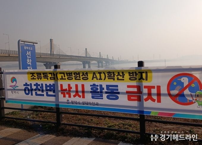 평택시, 고병원성 조류인플루엔자 확산 방지를 위해 하천 내 낚시행위 금지 계도 나서