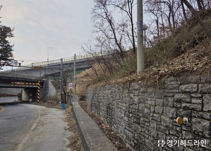 남양주시, 양정동 도심 가시박 제거로 생태환경 개선(제거 후)