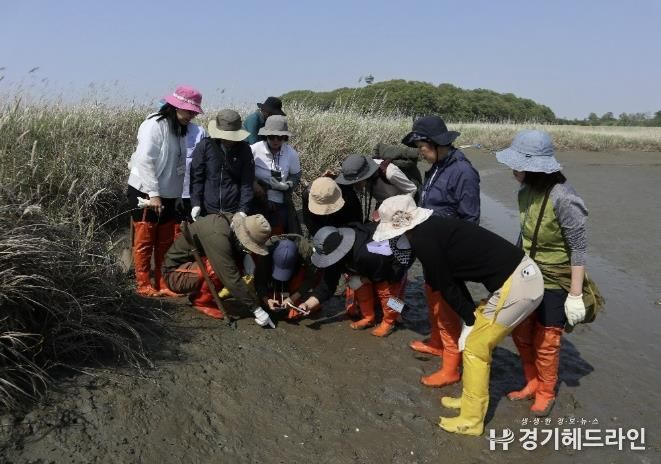 화성시생태관광사회적협동조합_활동사진