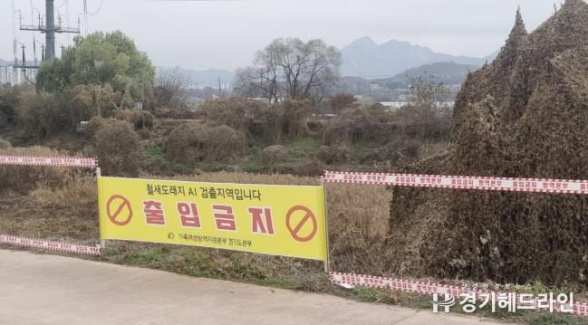 창릉천 철새도래지 출입통제