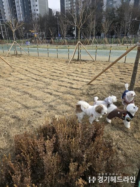 동두천시, 생연 문화공원 반려견 놀이터 정식 운영