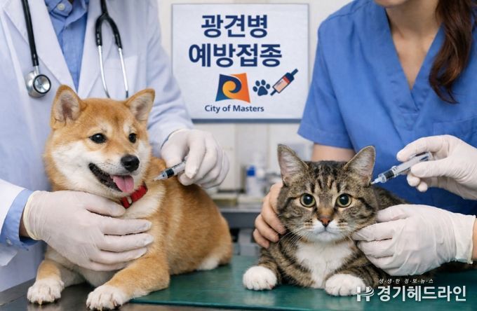 안성시, 2026년 상반기 광견병 예방접종 실시