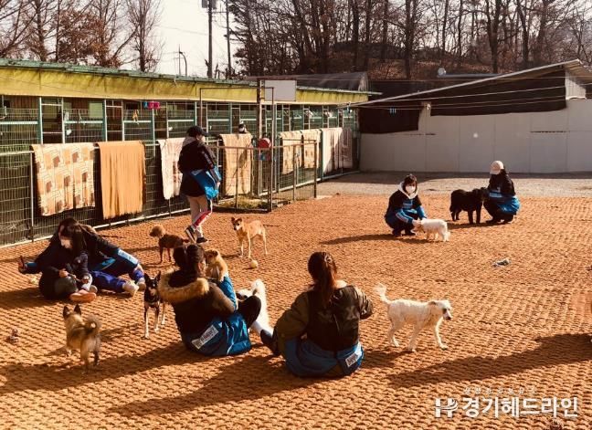 찾아가는 진료활동