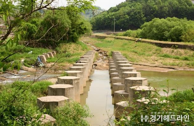 파주시 금촌3동, '잠든 용치(龍齒)와 평화의 바람' 사진전 개최