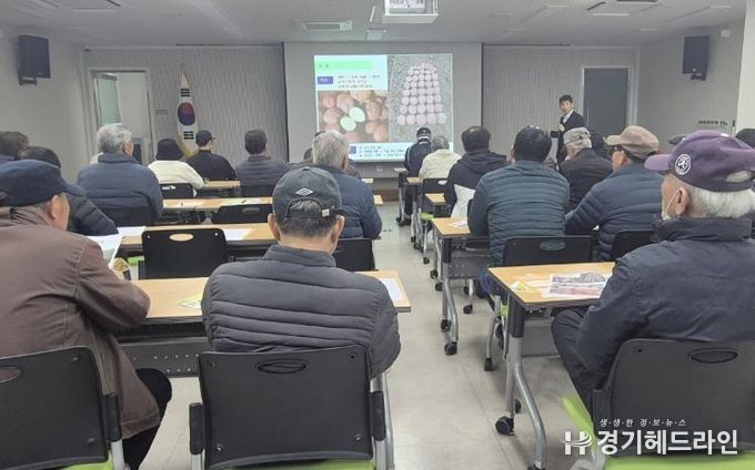 안성시 서부농업기술상담소, 기후변화 대응 고품질 감자 재배 기술 교육 실시