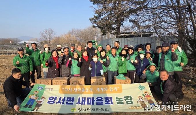 양서면 새마을회 감자심기 행사