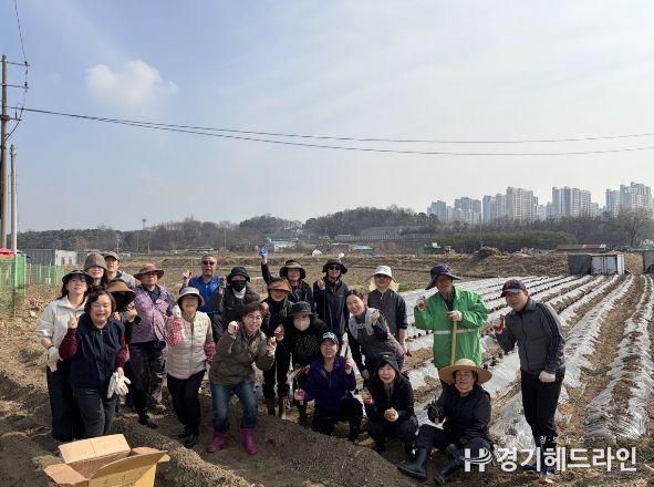 오산시 대원2동 통장협의회, ‘사랑의 감자심기’로 이웃사랑 실천